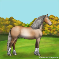 Horse Color:Gray Silver Sable Cream Champagne Roan 