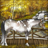 Horse Color:Platinum White Spotted Liver Red Onyx
