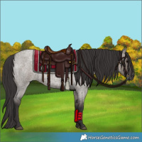 Horse Color:Smoky Grullo Roan 