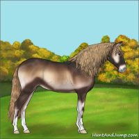 Horse Color:Liver Red Onyx 