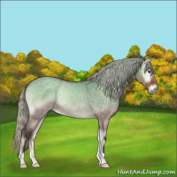 Horse Color:Silver Buckskin Roan Onyx 