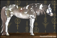 Horse Color:Platinum White Spotted Liver Chestnut Splash 