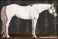 Horse Color:Platinum Gold Champagne Dun
