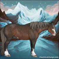 Horse Color:Liver Chestnut Mushroom Sabino 