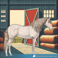 Horse Color:Perlino Roan 