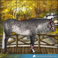 Horse Color:Platinum Silver Buckskin 