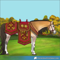 Horse Color:Buckskin Onyx 