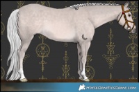 Horse Color:Platinum Palomino 