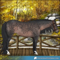 Horse Color:Platinum Brown 