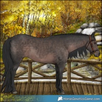 Horse Color:Platinum Liver Chestnut 