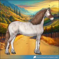 Horse Color:Red Onyx Roan