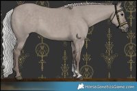 Horse Color:Platinum Silver Grullo Sabino