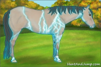 Horse Color:Thunderstruck Classic Champagne Dun 
