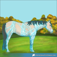 Horse Color:Thunderstruck Amber Champagne Dun 