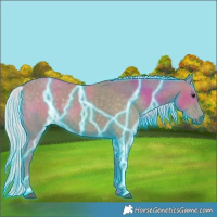 Horse Color:Thunderstruck Silver Smoky Grullo 