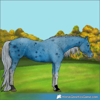 Horse Color:ERROR: UNKNOWN ANOMALY