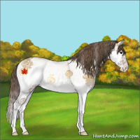 Horse Color:White Spotted Classic Cream Champagne Onyx Splash 