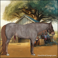 Horse Color:Liver Red Roan 