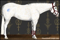 Horse Color:Gold Cream Champagne Appaloosa  and Gold Cream Champagne Appaloosa 