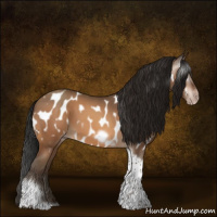 Horse Color:Gray Amber Champagne Roan Tobiano Frame Appaloosa 