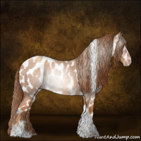 Horse Color:Gray Gold Champagne Roan Tobiano Frame Appaloosa 