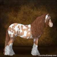 Horse Color:Gray Gold Champagne Roan Tobiano Frame Appaloosa 