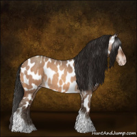 Horse Color:Gray Amber Champagne Roan Tobiano Frame Appaloosa 