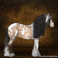Horse Color:Gray Amber Champagne Roan Tobiano Frame Near Leopard 