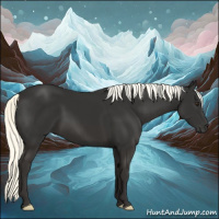 Horse Color:Liver Chestnut Mushroom 