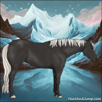 Horse Color:Liver Chestnut Mushroom 