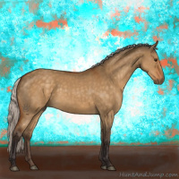 Horse Color:Silver Buckskin Dun 