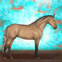 Horse Color:Silver Buckskin Dun 