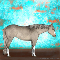 Horse Color:Silver Smoky Grullo 