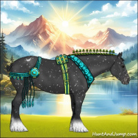 Horse Color:Black Appaloosa 