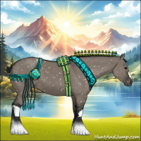 Horse Color:Gray Grullo Appaloosa 