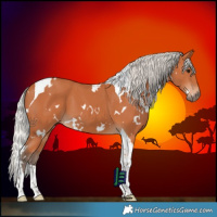 Horse Color:White Spotted Silver Bay Tobiano 