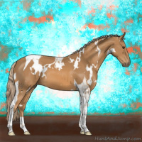 Horse Color:White Spotted Chestnut Tobiano 