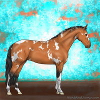 Horse Color:White Spotted Bay Tobiano 