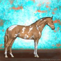 Horse Color:White Spotted Chestnut Tobiano 