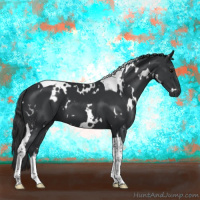 Horse Color:White Spotted Black Tobiano 