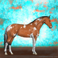 Horse Color:White Spotted Bay Tobiano 