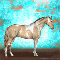 Horse Color:White Spotted Red Dun Tobiano 