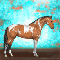 Horse Color:White Spotted Bay Tobiano 