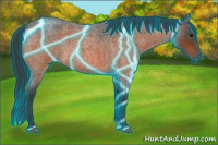 Horse Color:Thunderstruck Bay Roan 