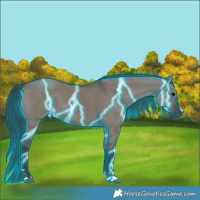 Horse Color:Thunderstruck Grullo 
