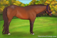 Horse Color:Chocolate Brown 
