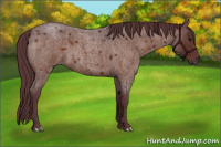 Horse Color:Chocolate Brown Roan 