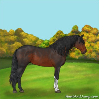 Horse Color:Brown Tobiano 