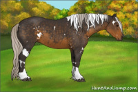 Horse Color:White Spotted Silver Smoky Black Tobiano 