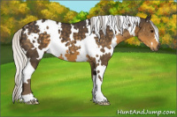 Horse Color:White Spotted Silver Smoky Black 